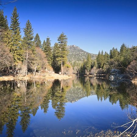 Idyllwild Bunkhouse别墅 外观 照片